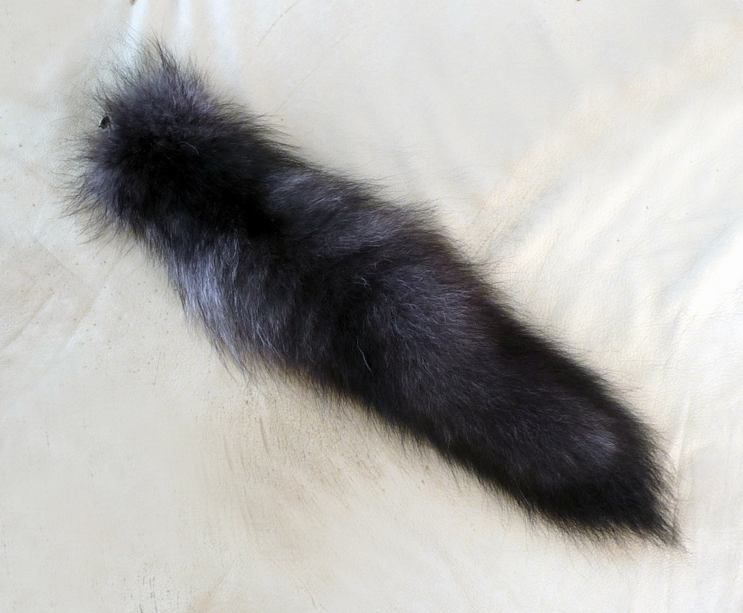 Real Black Wolf Tail Huge Tail with clip on by WildHeartedOne