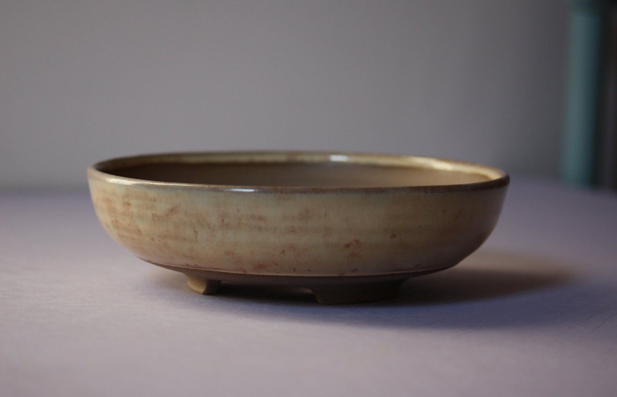  Shallow  literati style bonsai  pot  in a speckled beige gloss