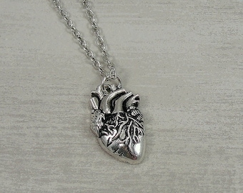 Human Heart Necklace, Silver Realistic Human Heart Charm on a Silver Cable Chain
