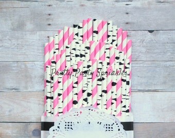Barbie Pink, Birch Straws, Secret Garden Birthday Decor, Woodland Baby Shower, Girl High Tea Bridal Shower, Floral Party Ideas, Shabby Chic