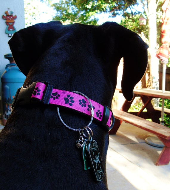 Locking dog collar clip lock id tags to dog's collar w/