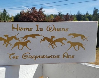 Home is where the greyhounds are