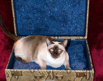 Pet Bed-Upcycled Suitcase-Cat-Dog