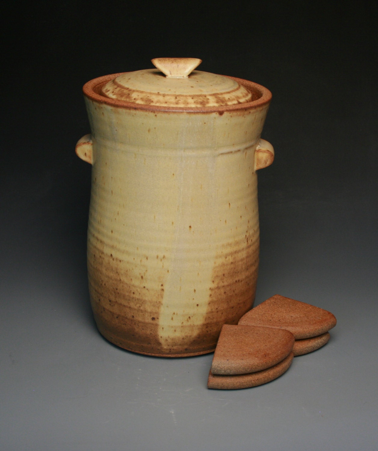 Fermentation Crock 4 Liters with water lock lid and