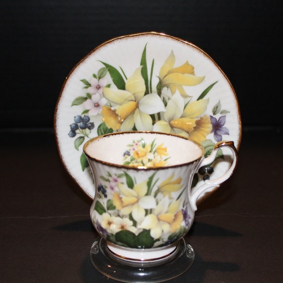 QueensRosina Fine Bone China Cup and Saucer Spring Floral
