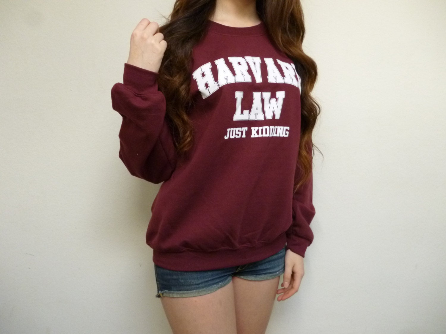 harvard law just kidding sweatshirt madam secretary