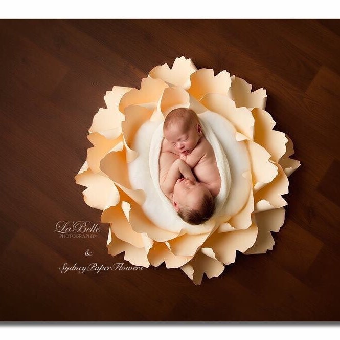 Updates from SydneyPaperFlowers on Etsy