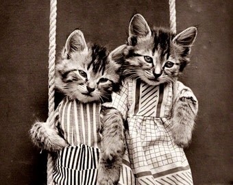 Vintage photo Antique photograph kittens on swing cats in clothing anthropomorphic kitten print cat print kitten poster cat poster pets
