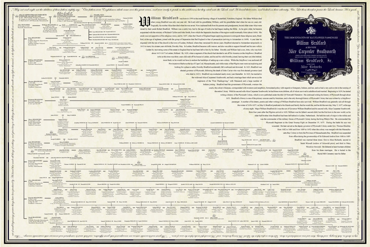 mayflower-pedigree-chart-family-of-william-bradford-alice