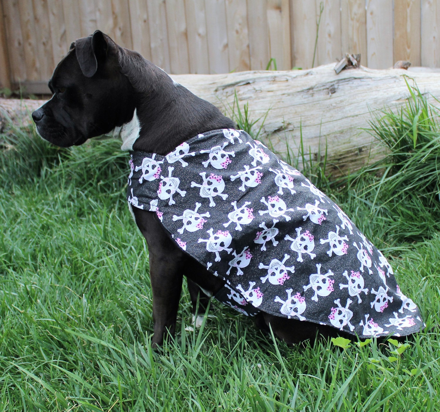 Skull and Crossbones dog coat Large breed dog coat Pit bull