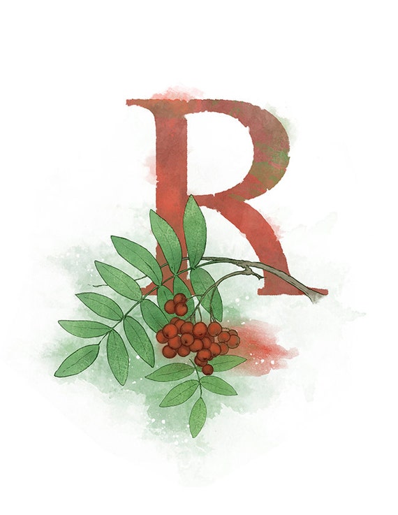 items similar to letter r rowan printable 85 x 11 nature alphabet