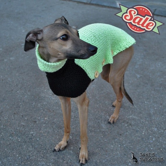 Handmade Dog Sweater for an Italian Greyhound by JakesSweaters