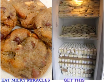 Gluten Free Ultimate MORE MILK Double Chip Lactation Cookies **Double your milk supply now!!!