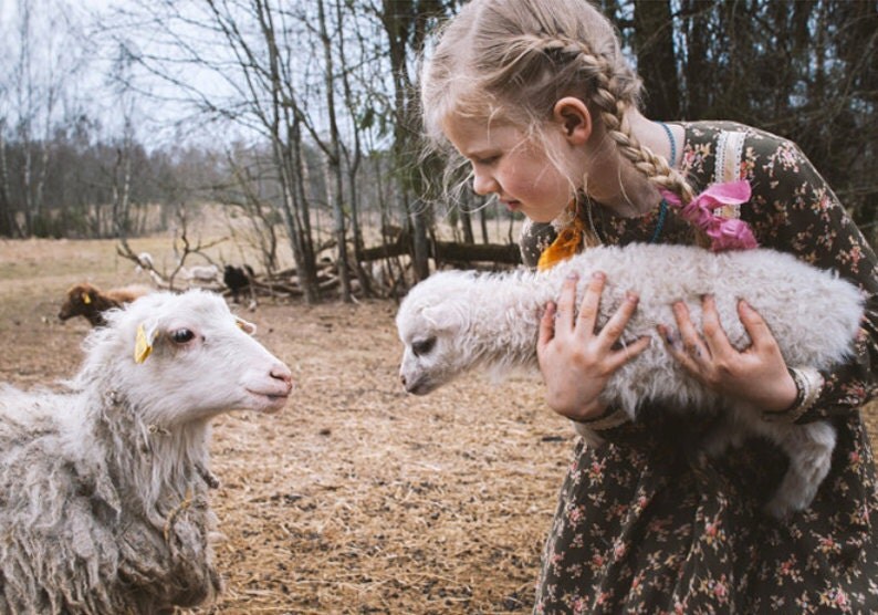 Cute sheep from Bure Bure Slippers' farm