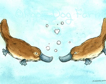 Swimming Platypus Love -Original Watercolor painted print