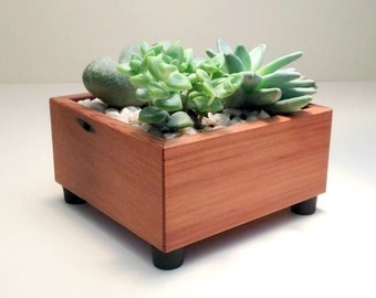Succulent Planter Box, Square, Succulent Garden, Centerpiece Arrangement Planter, Cedar Wood