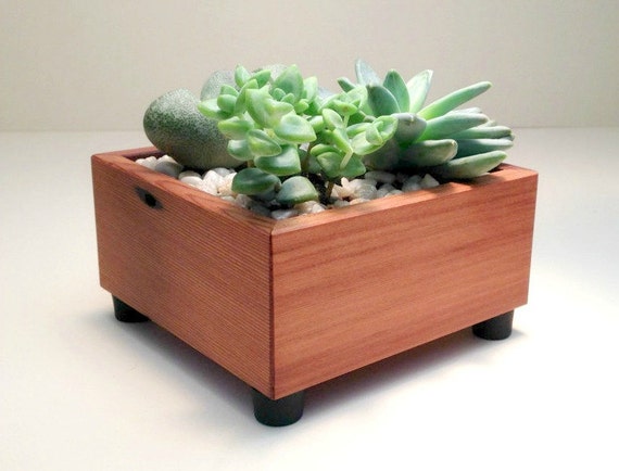 Planter Box, Square, Succulent Garden, Centerpiece Arrangement Planter 