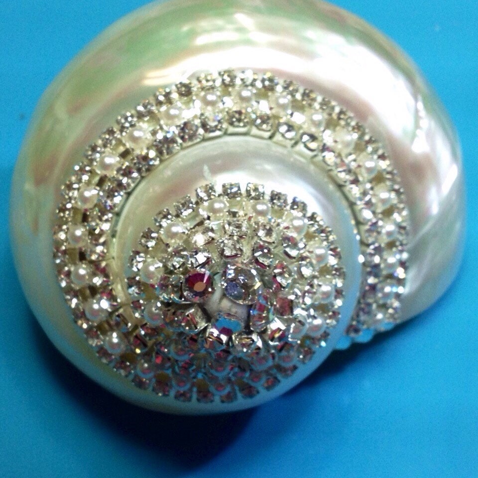 Xl Jeweled Pearl Turbo Sea Shell Pearls & Rhinestones