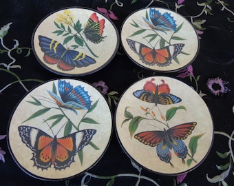 Four ceramic Butterfly Plates- Black bases no signature found