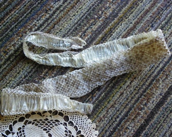 JUMBO Semi Perfect Snake Skin Shedding Shed by 