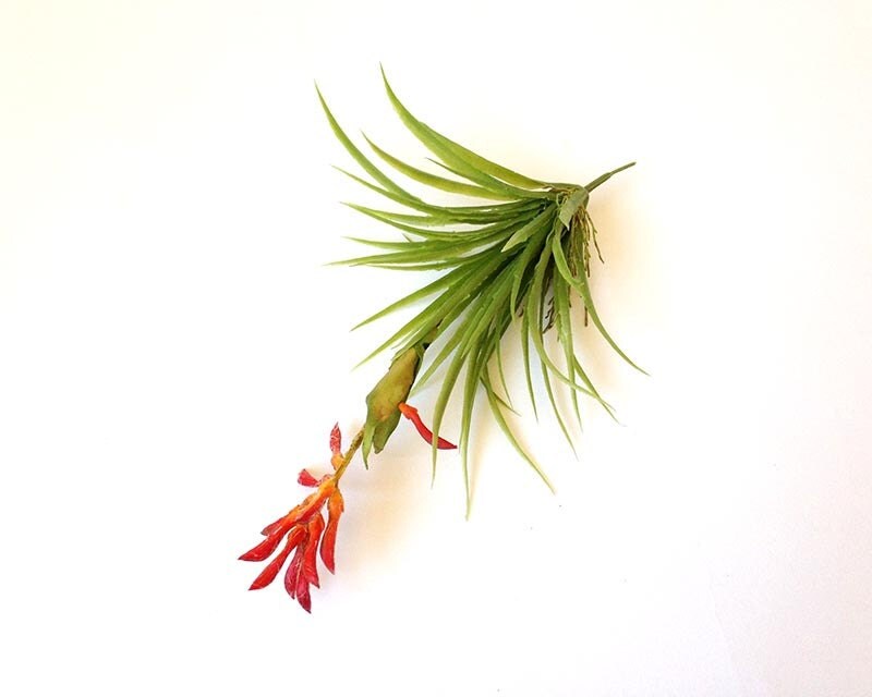 Artificial plants faux air plant artificial flower by dirtcouture