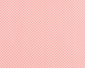 Windermere - Gingham in Blossom by Brenda Riddle for Moda Fabrics