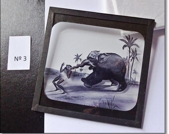 Magic Lantern Slide, Victorian Glass Slides, Victorian Toys, Elephants Revenge, Lantern Slides No. 3