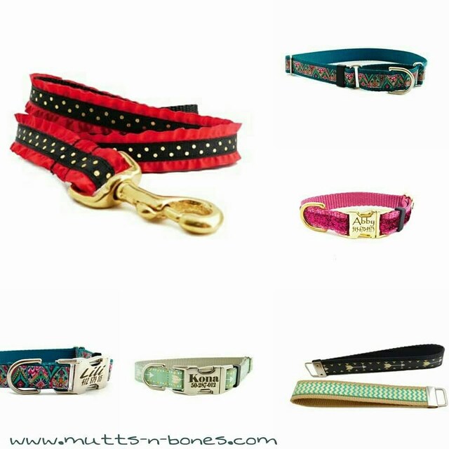 MuttsnBones Unique Dog Collars Leashes and More by MuttsnBones
