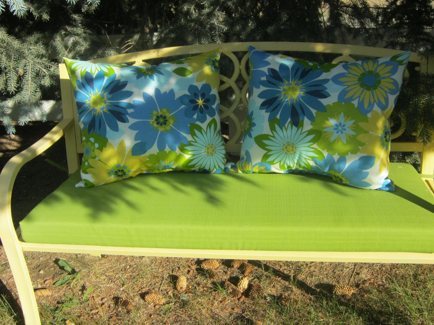 Outdoor Indoor Pillows