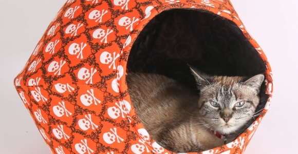Cat Ball Cat Bed in Halloween Orange Black Pirate Skull and Crossbones Fabric