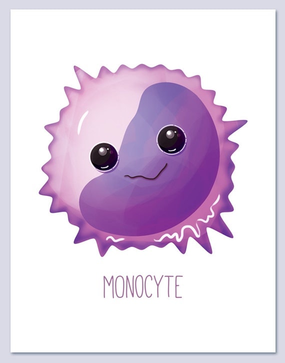 Monocyte / White Blood Cells / Wall art print / biology / cute