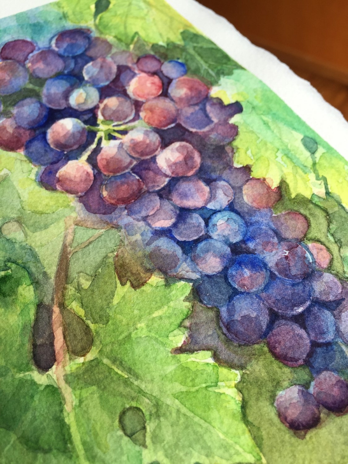 Grapes Watercolor Painting Original Vineyard Art by OlechkaDesign