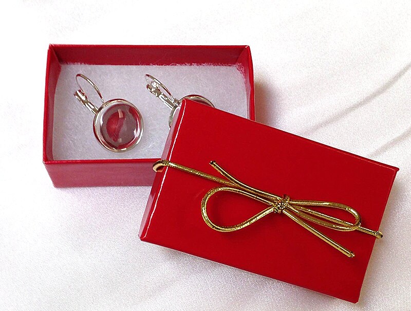 CAMERA LENS EARRINGS Camera Jewelry Photographer Gift