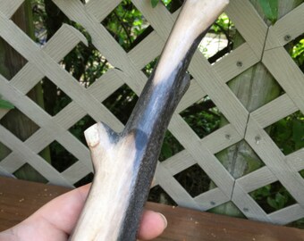 Hand Carved Petrified Wood Branch from Indonesia