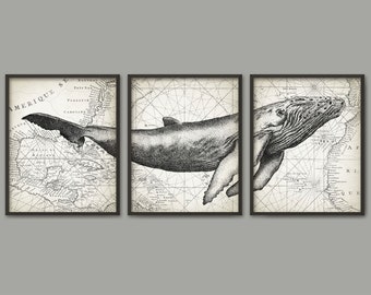 Humpback Whale Wall Art Poster Set Of 3 - Whale Art Print - Humpback Whale Poster - Humpback Whale Wall Art - Marine Biology (AB393)