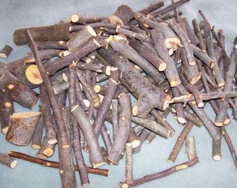 Apple Wood Limb SCRAPS, Branch Trimmings, Bunny, Chinchilla Food, 2 Pounds, Pet Treats, Rabbit Food, Malus