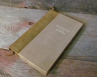 forest gift nature essay forest gift nature essay