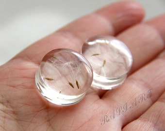terrarium jewelry pressed flower earrings flesh tunnels plugs dandelion resin plugs dandelion plugs Plug Earrings resin transparent plugs