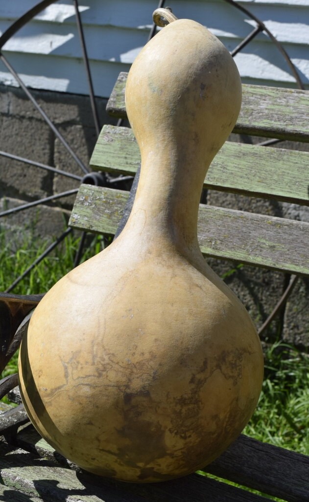 Dried Birdhouse gourd for crafts