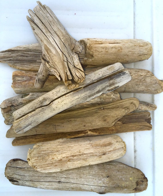 2 Thick Maine Driftwood Logs 8 to 10 by SaltyGirlandLongDog