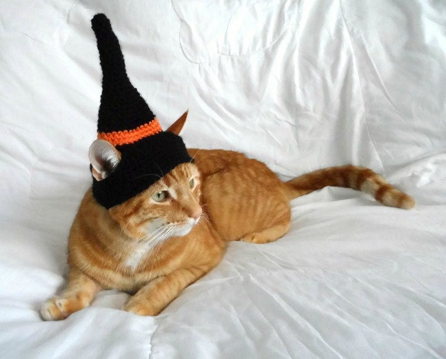 Crochet Witches Hat for CatWizard Cat Hat Halloween Hat for