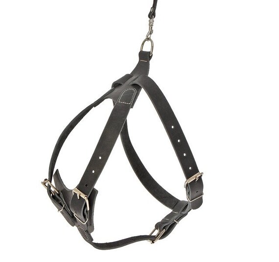 Leather Chest Protect Dog Harness Adjustable Tracking Working