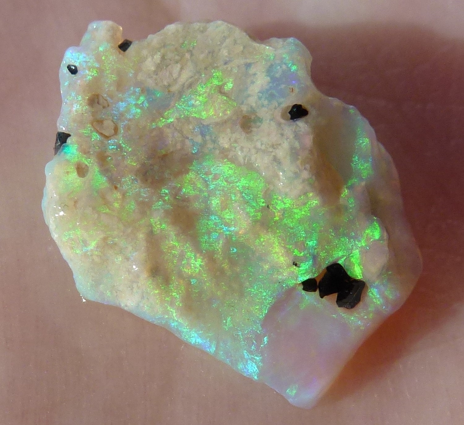Australian FOSSIL CRYSTAL OPAL rough raw roh 15 x 10 x 4 mm