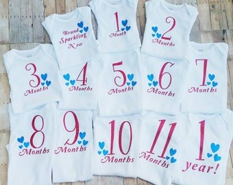 monthly bodysuit set - baby bodysuit set - baby shower gift - Baby girl outfit - girl baby clothes - brand sparkling new - baby photo props
