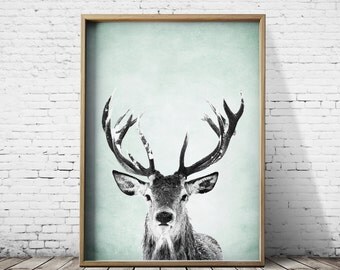 Wall Art Print Deer Print Deer Antlers Stag Print Animal Print Grey Print