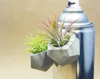 Geometric Concrete Air Plant Magnet // Tillandsia Holder // Hello Tilly Airplant