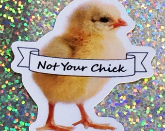 Not Your Chick Feminist Sticker, Laptop Sticker, ipad sticker, Phone Case Sticker