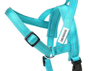 X-Large Turquoise Dog Harness XL Big Dog Golden Retriever Step In Harness Cute Vest Safety Heavy Dog Walking Padded Dog Harness by DEXDOG
