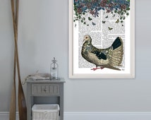 bird dove
