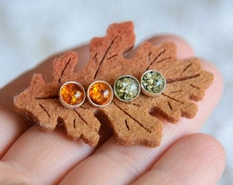Green and honey amber stud earrings set, 2 pairs of amber studs set, little amber earrings in gift box, natural amber earrings, amber dots